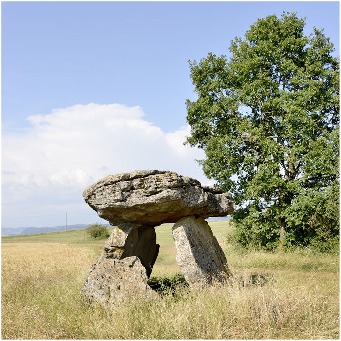 Dolmen de Tièrgues