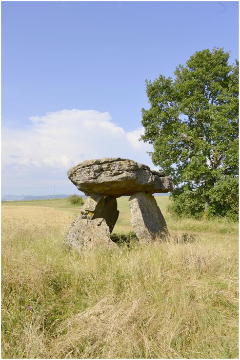 Dolmen de Tièrgues