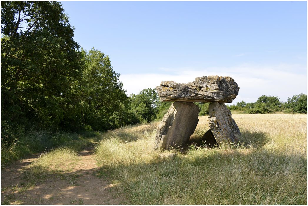 Dolmen de Tièrgues