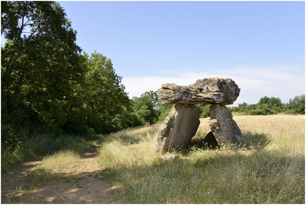 Dolmen de Tièrgues