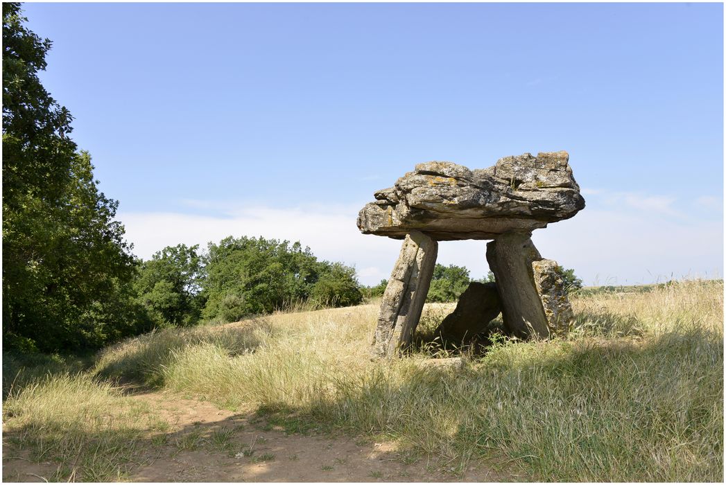 Dolmen de Tièrgues