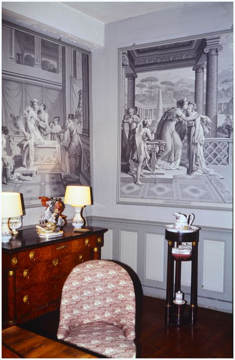 chambre, vue partielle des grisailles