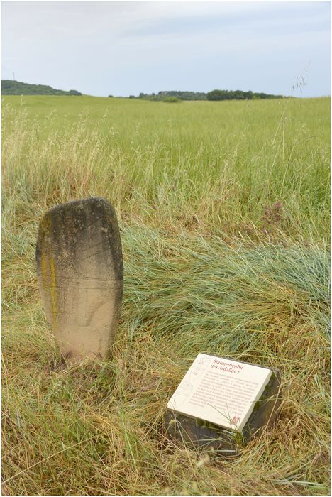 statue-menhir des Ardaliès 1 - © Ministère de la Culture (France), Direction Régionale des Affaires Culturelles d'Occitanie, tous droits réservés