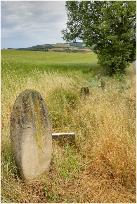 statue-menhir des Ardaliès 2