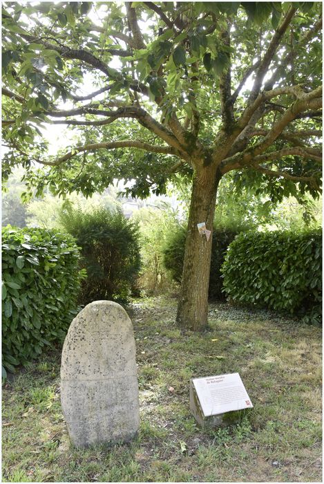 statue-menhir de Balaguier