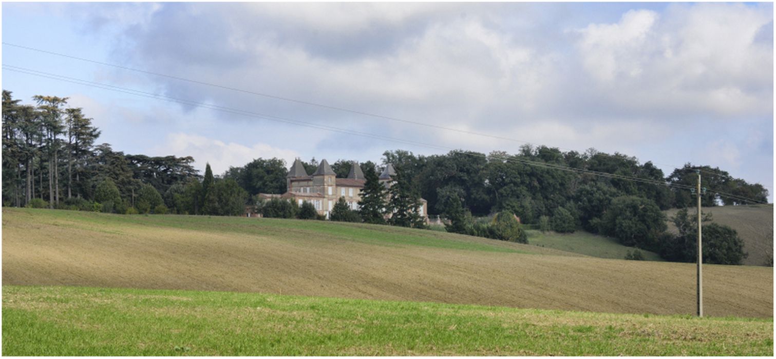 vue partielle du château dans son environnement depuis le Sud-Ouest