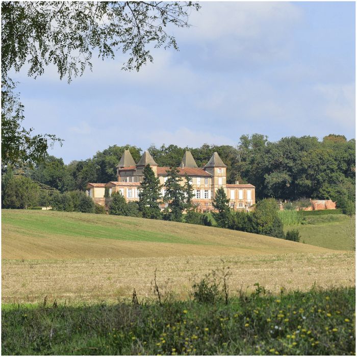 vue partielle du château dans son environnement depuis le Sud-Ouest