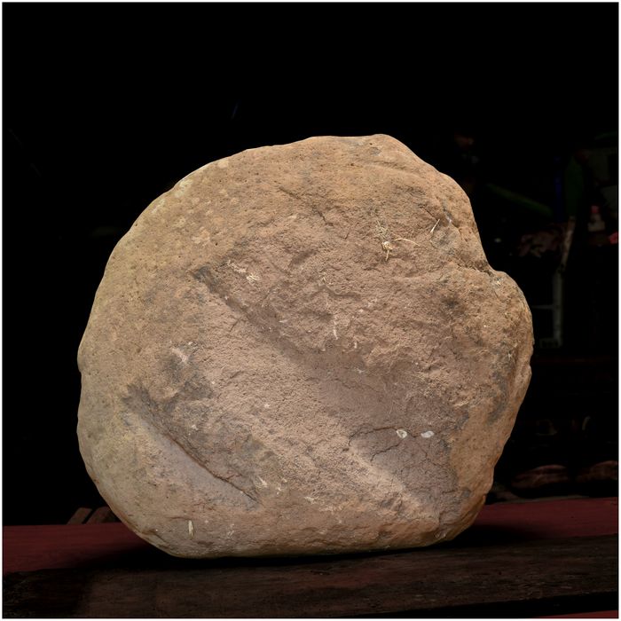 statue-menhir de Bancanel - © Ministère de la Culture (France), Direction Régionale des Affaires Culturelles d'Occitanie, tous droits réservés