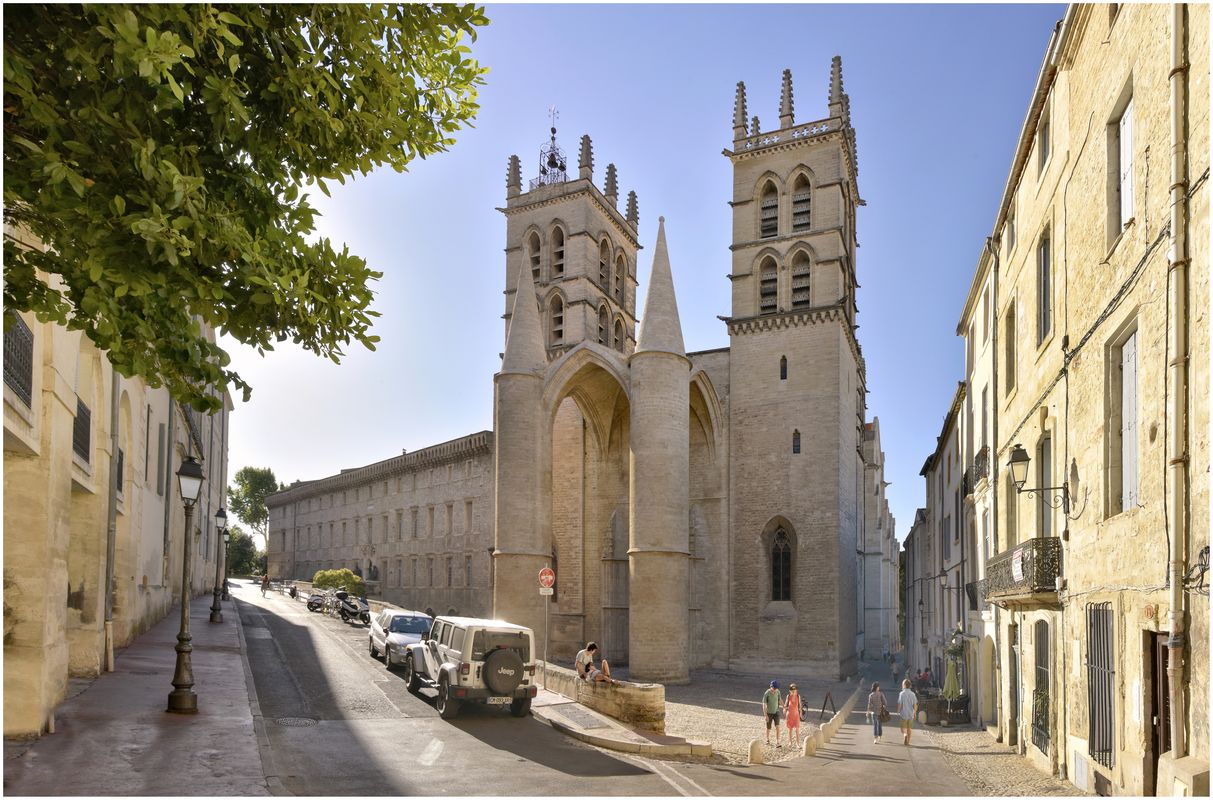 Vue d'ensemble de la cathédrale et de l'école de médecine depuis le sud.