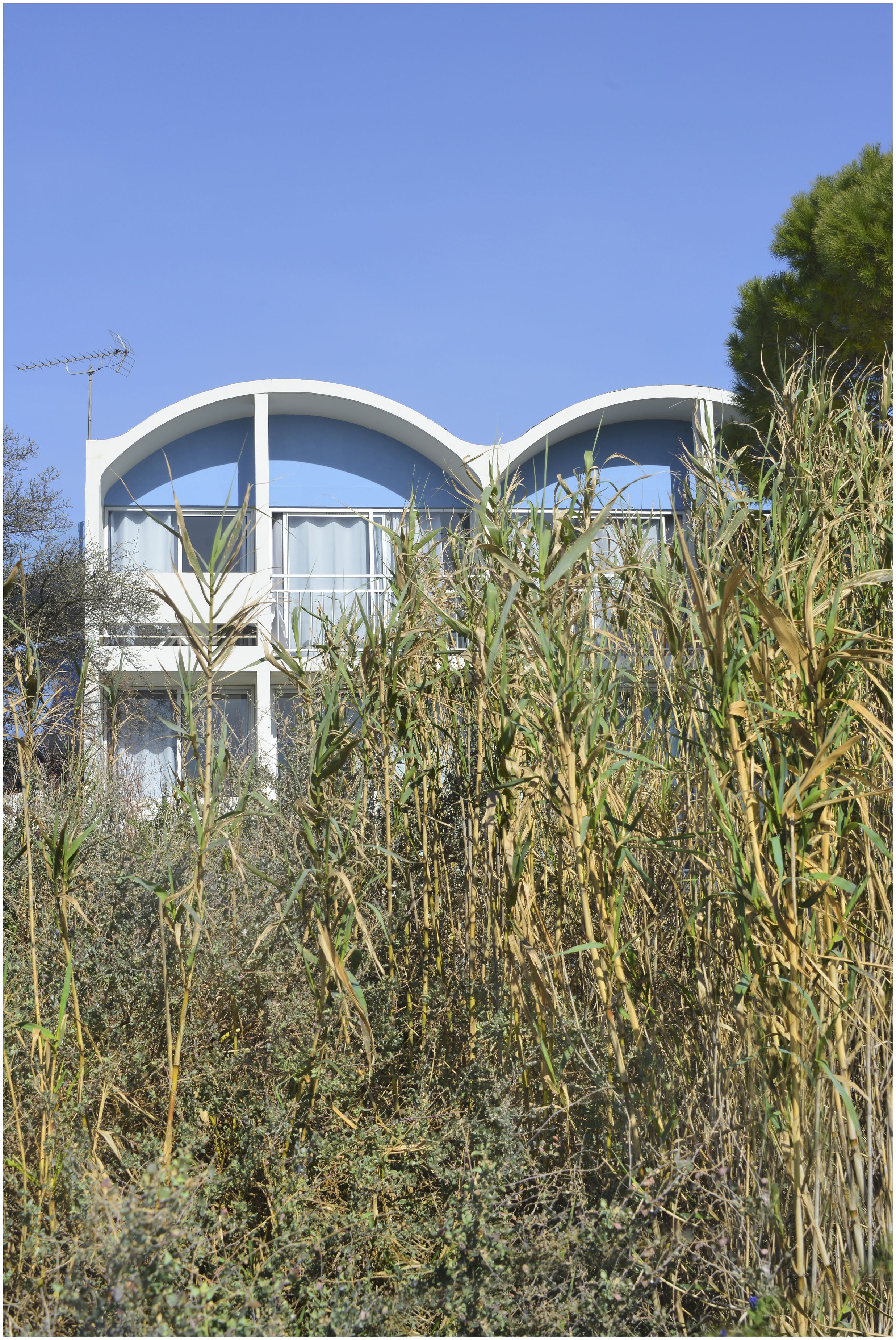 Vue des voûtains d’un pavillon de logement, derrière les roseaux de l’étang de Thau.