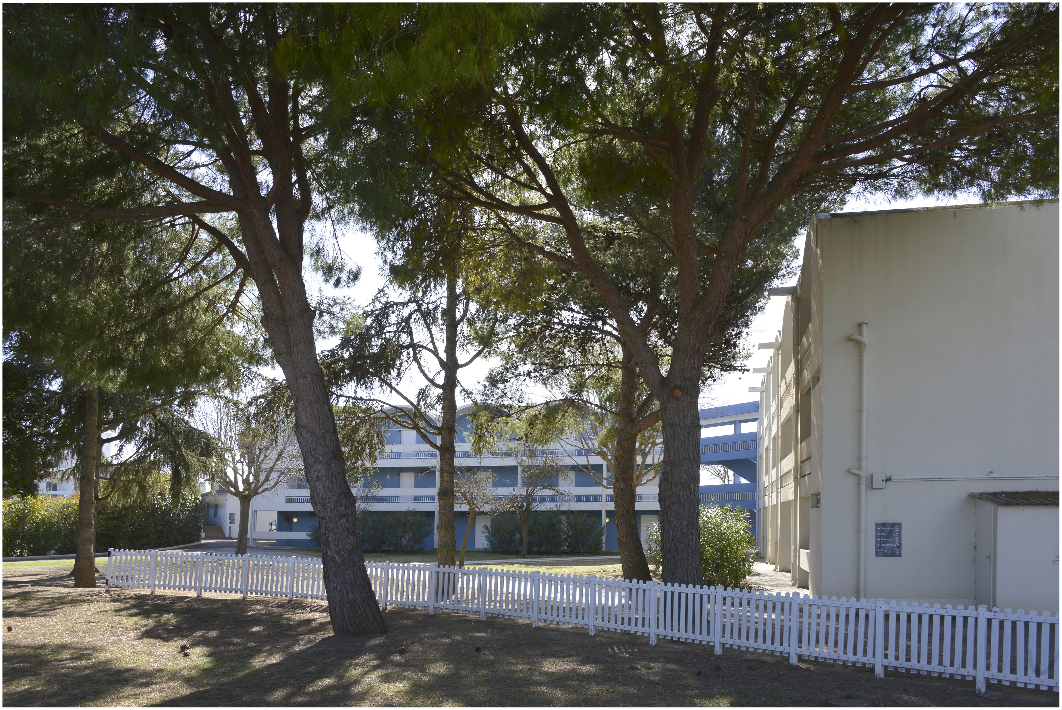 Deux pavillons de logement disposés en V. Façades arrière.