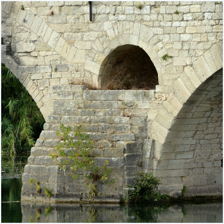 Arrières-becs polygonaux.