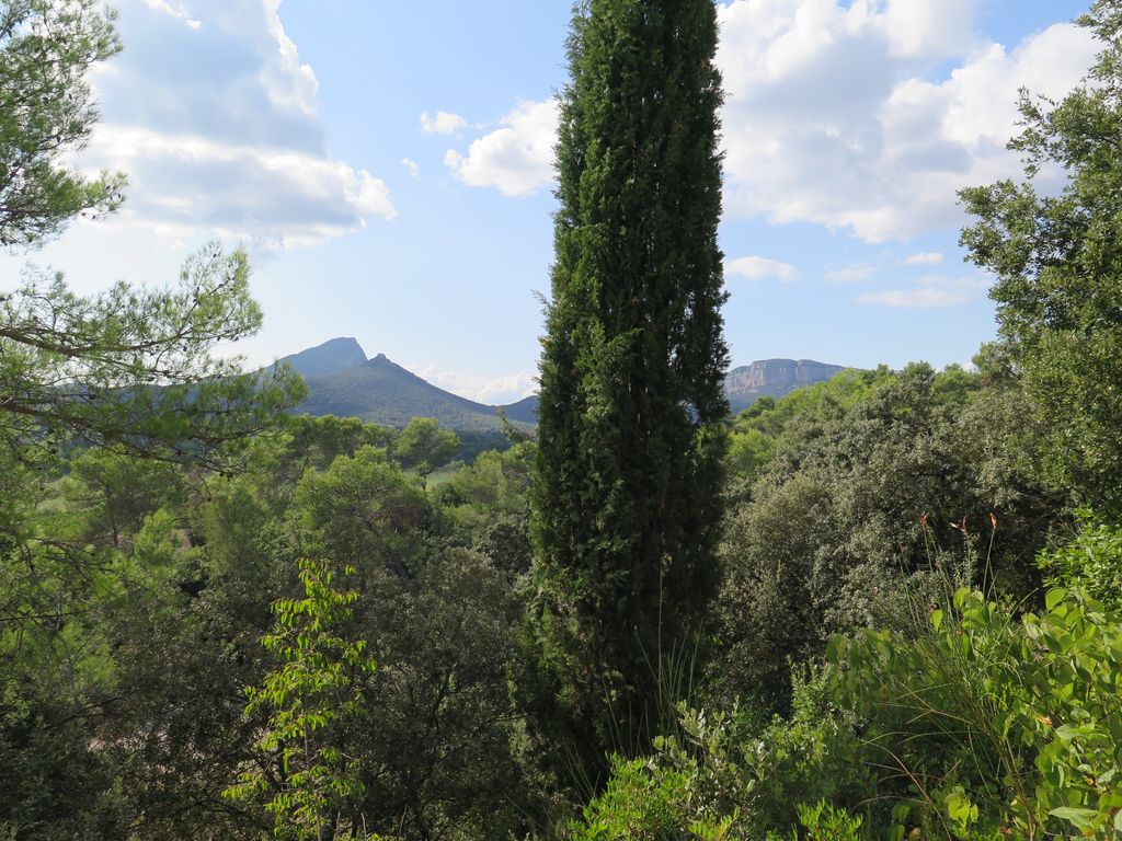 Vue depuis le couvent : à droite l’Hortus, à gauche le Pic Saint-Loup.