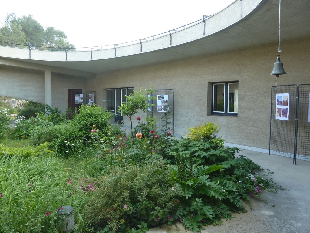 Patio.