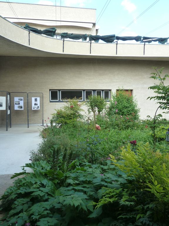 Patio.