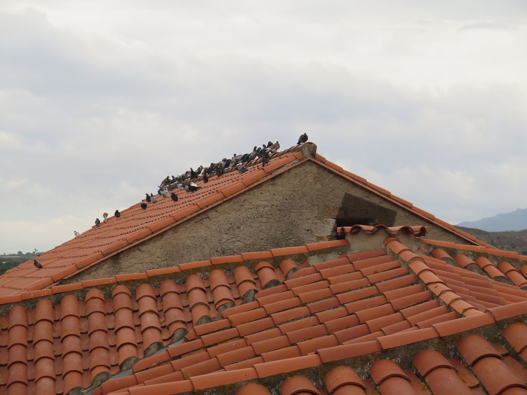 Toitures de la nef vers le choeur.