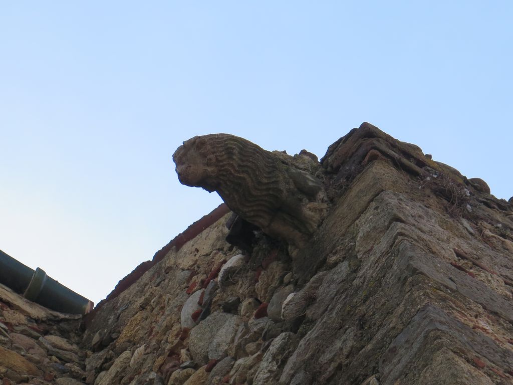 Chevet côté nord. Gargouille, lion à crinière ondulée.