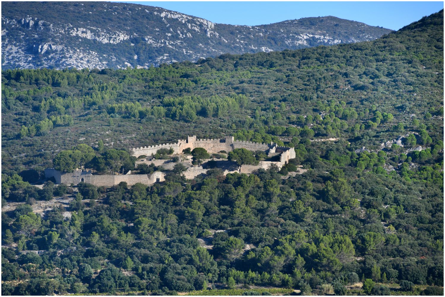 Vue d’ensemble.