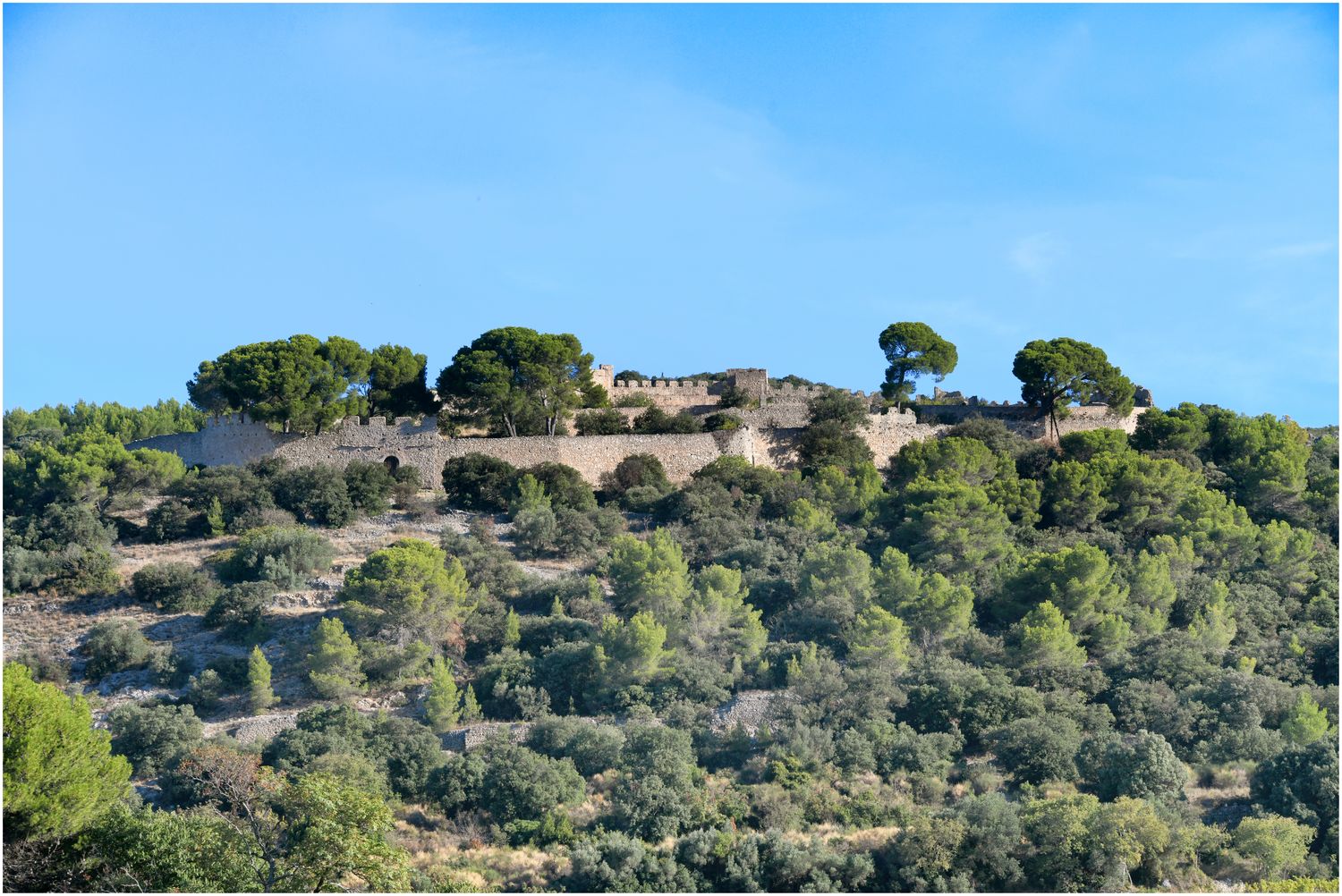 Vue d’ensemble.