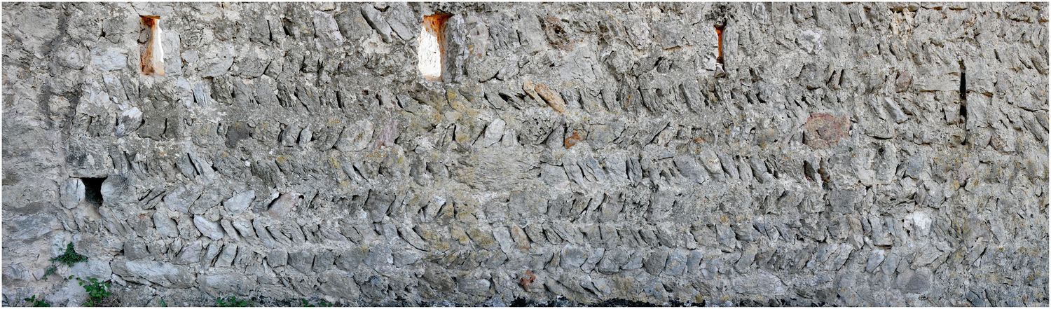Vue de détail d’appareil en épi ou opus spicatum sur le front Nord-Ouest.