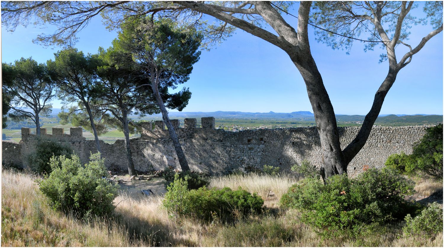 Vue de la muraille côté Sud-Ouest depuis l’intérieur.