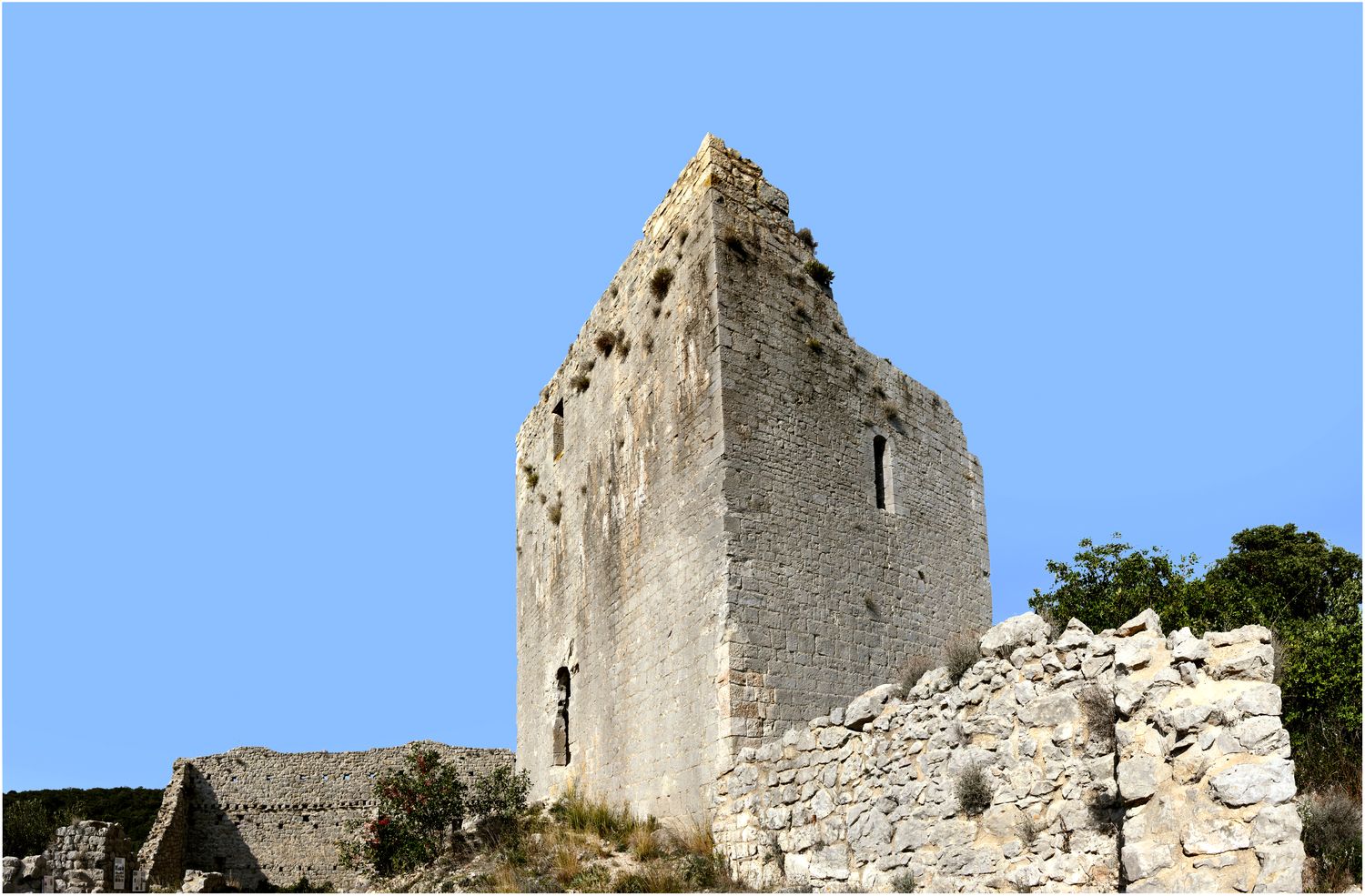 Vue d’ensemble de la tour-maîtresse depuis le Sud-Est.