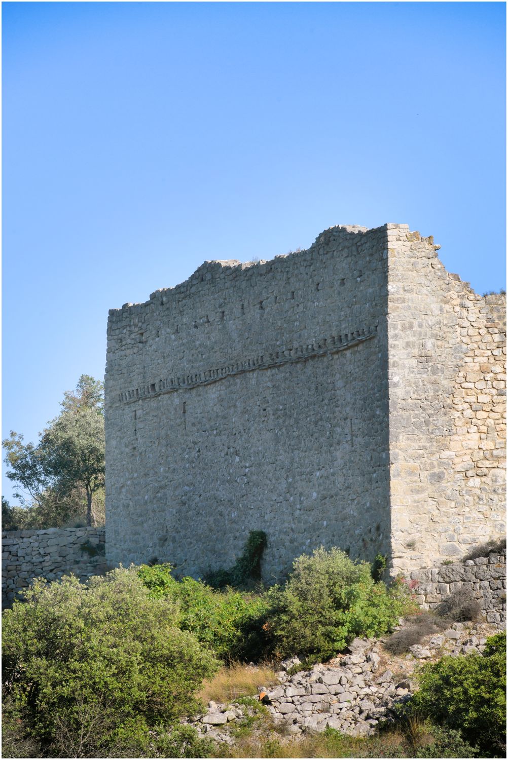 Vue de l’enceinte depuis le Sud-Ouest.