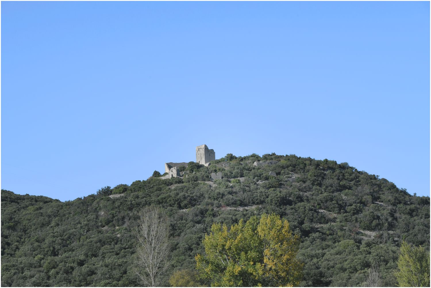 Vue d’ensemble.