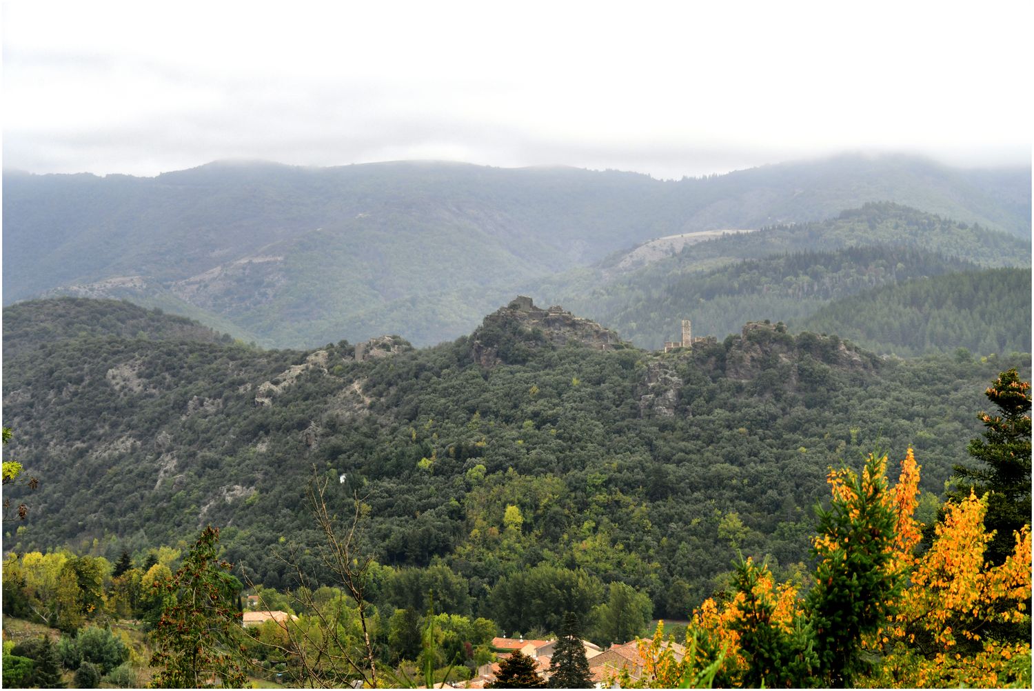 Vue d’ensemble du site.