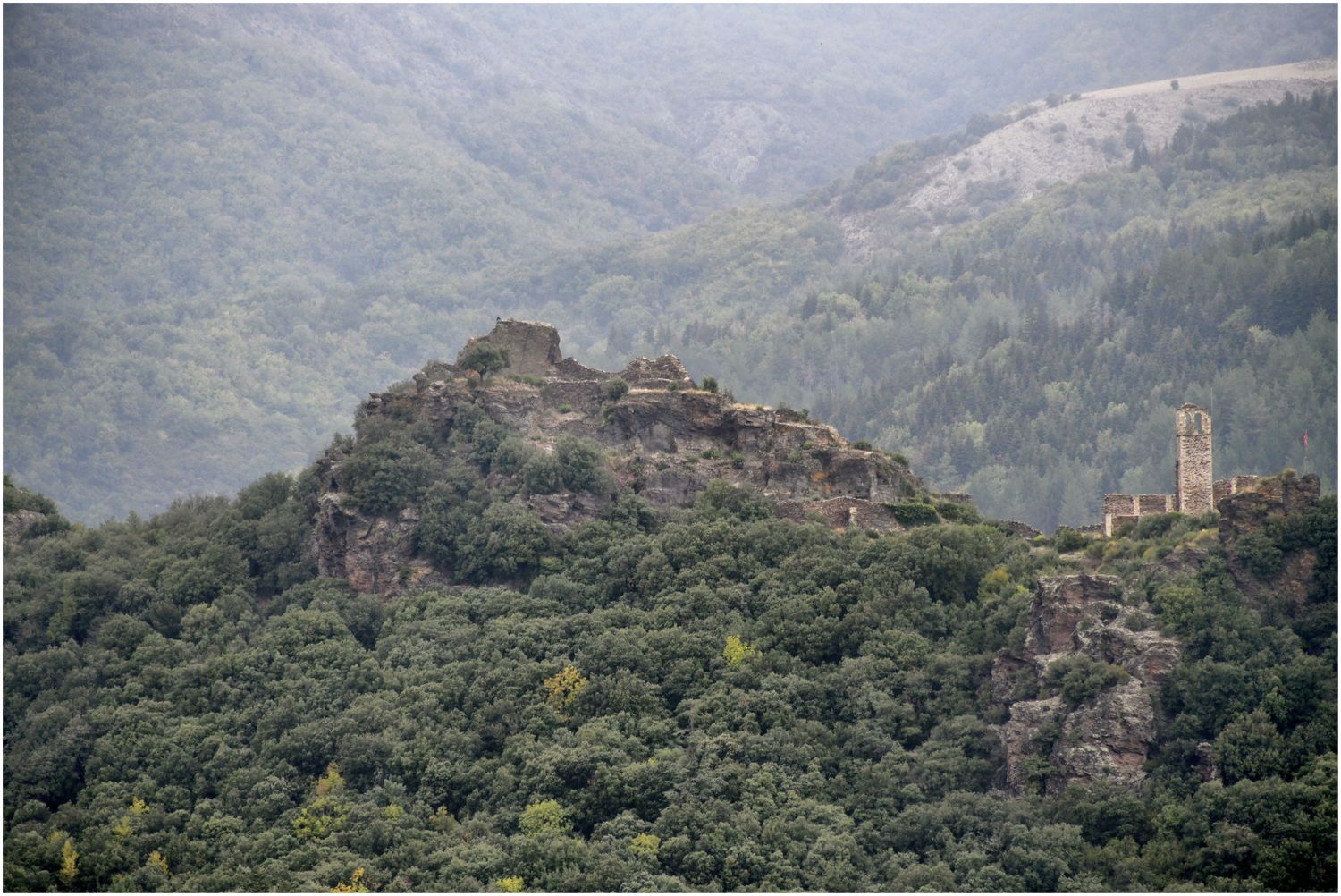 Vue d’ensemble du site.