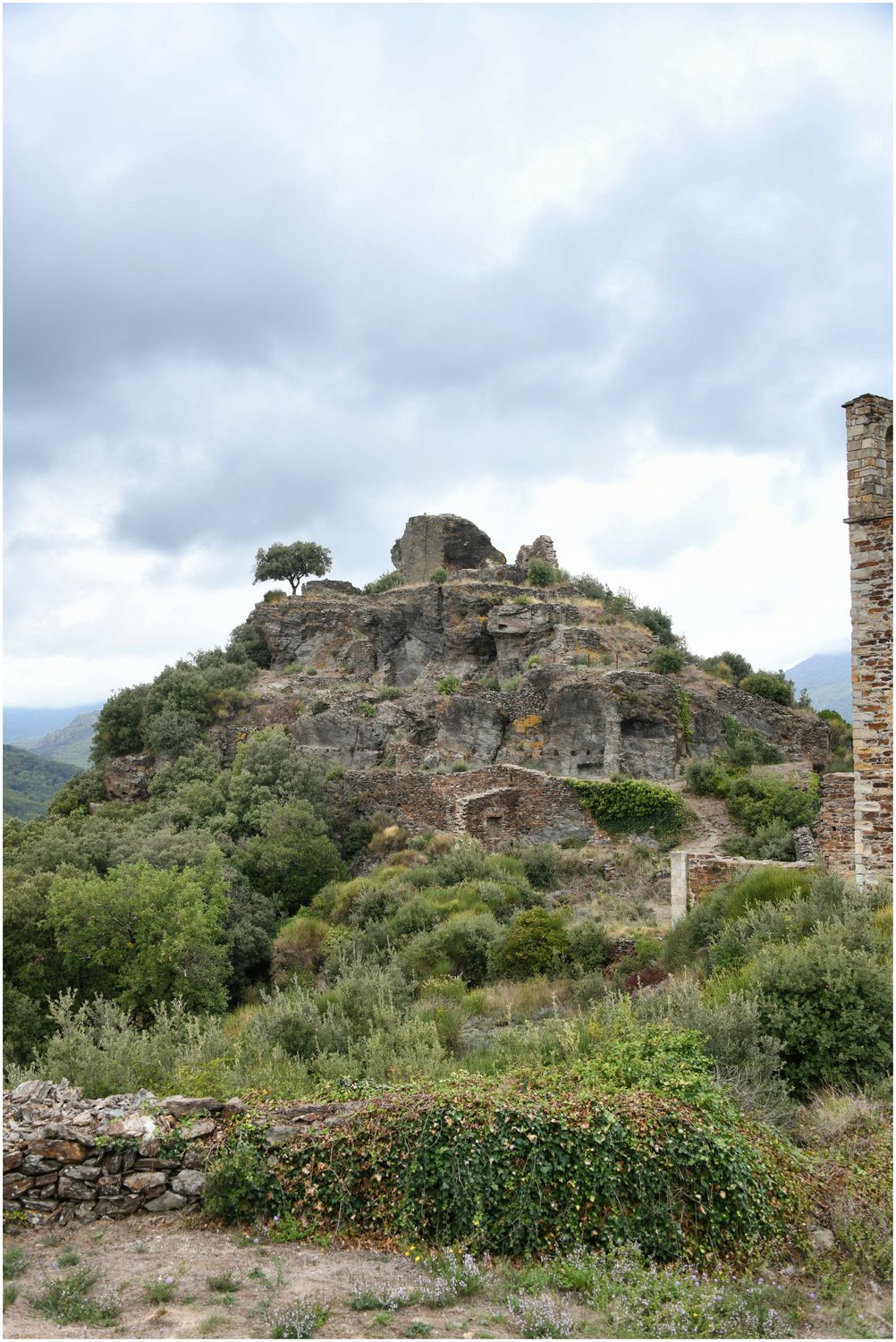 Vue d’ensemble du pôle castral primitif.