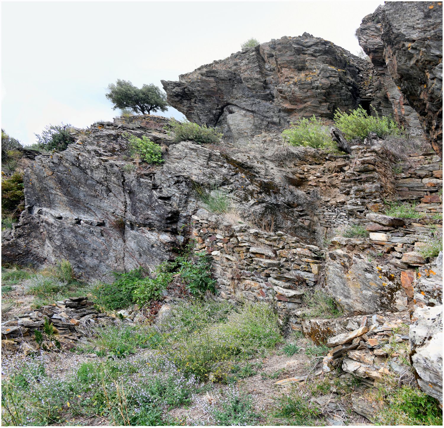 Vue de détail d’une construction taillée dans le rocher du pôle castral primitif.