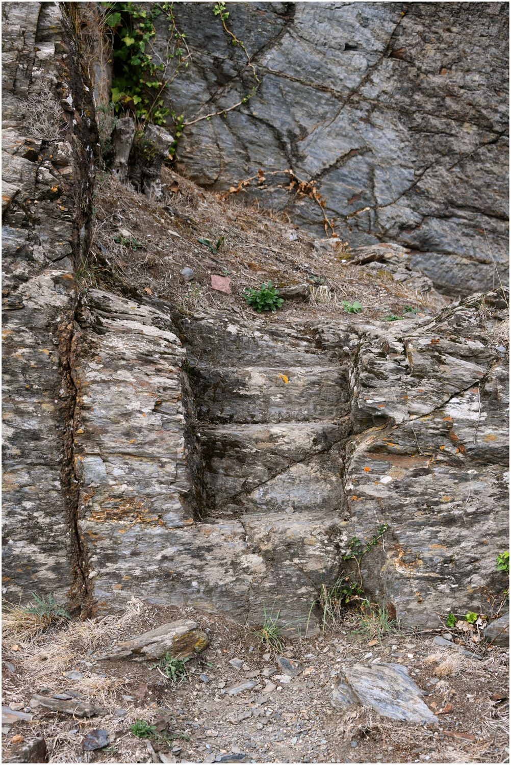 Vue de détail d’un escalier taillé dans le rocher du pôle castral primitif.