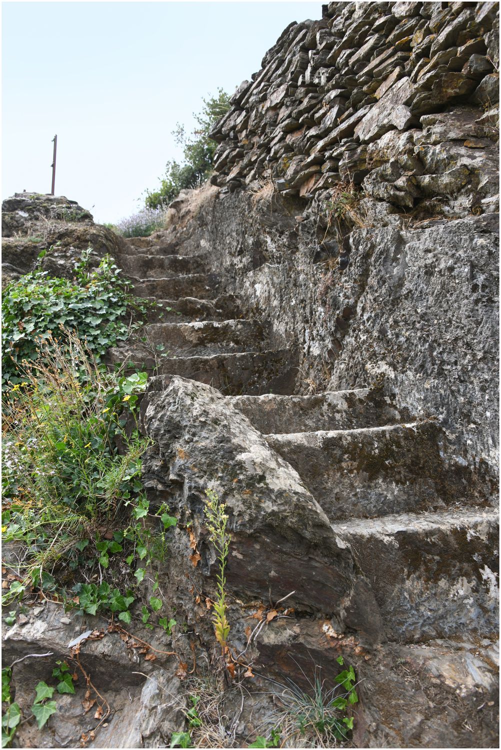 Vue d’ensemble de l’escalier taillé dans le rocher du pôle castral primitif.