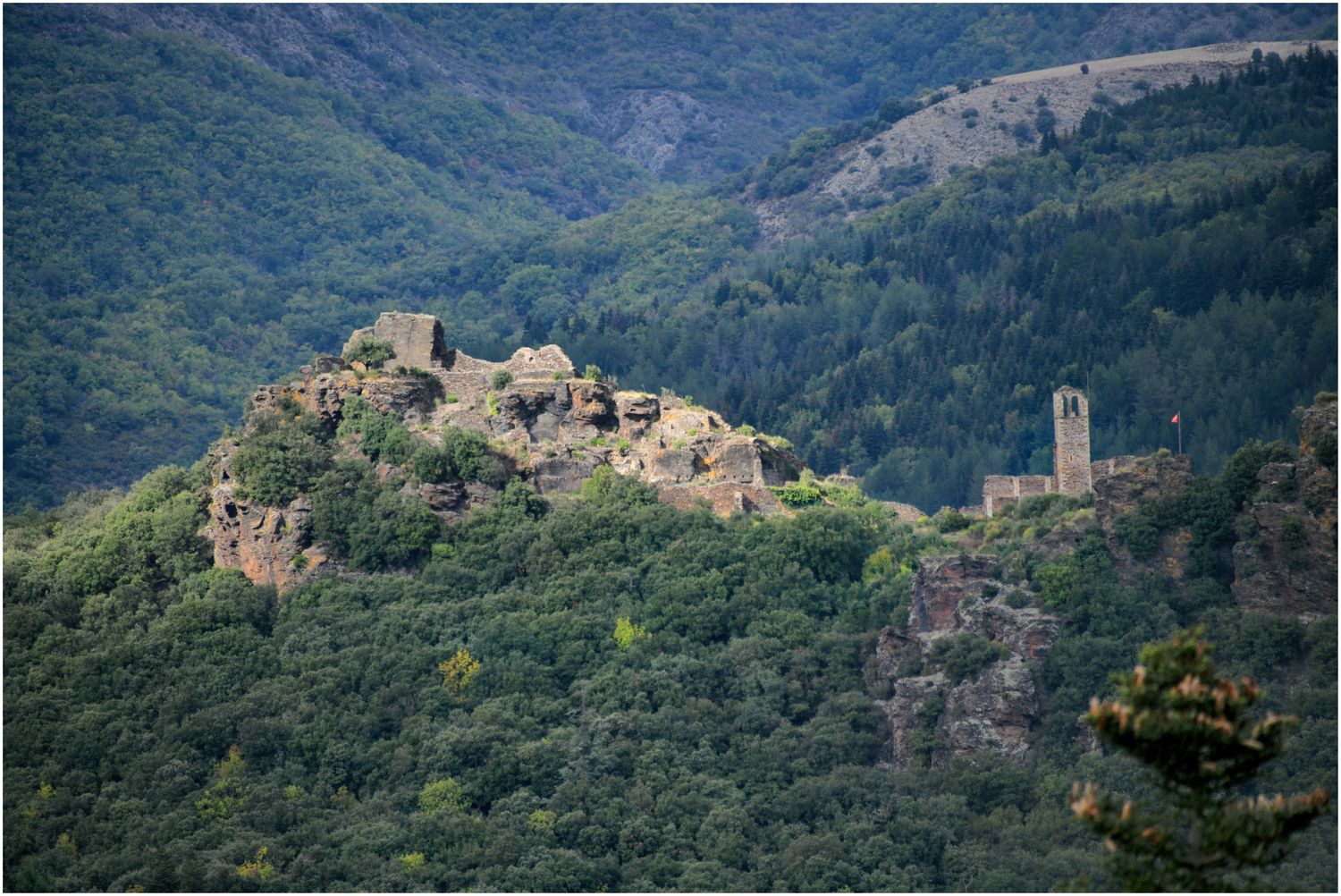 Vue d’ensemble du site.