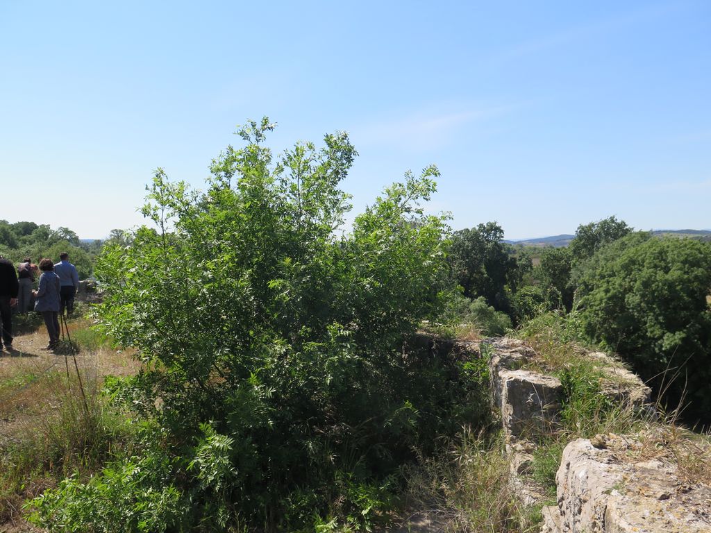 La terrasse sommitale crénelée.