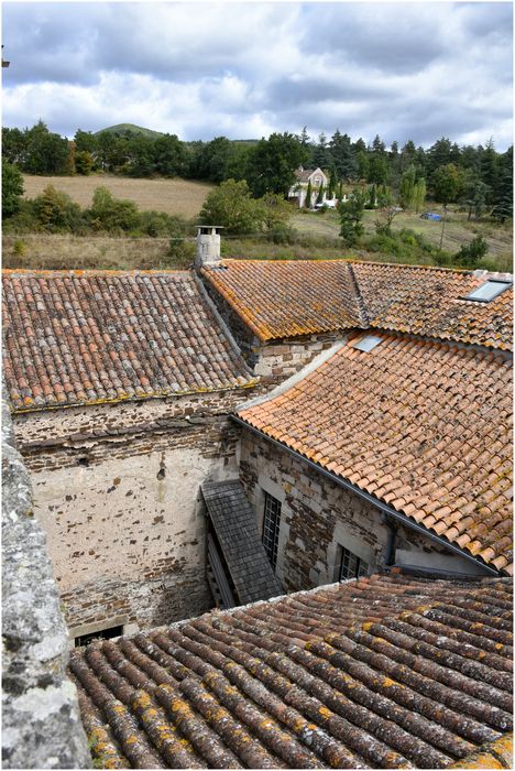 cour prise depuis le toit (angle sud-ouest)