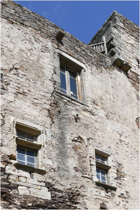 élévation sud, détail croisées côté ouest