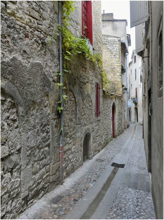 élévation sur la rue de la Monnaie