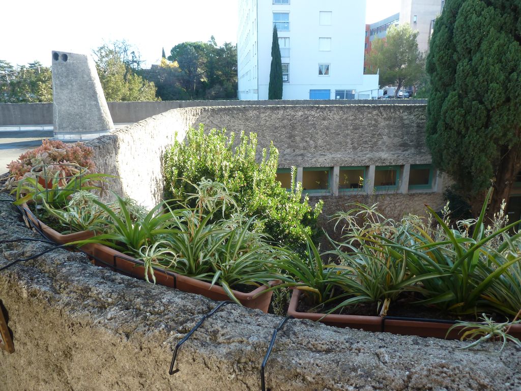 Vue du patio depuis la terrasse est des appartements.