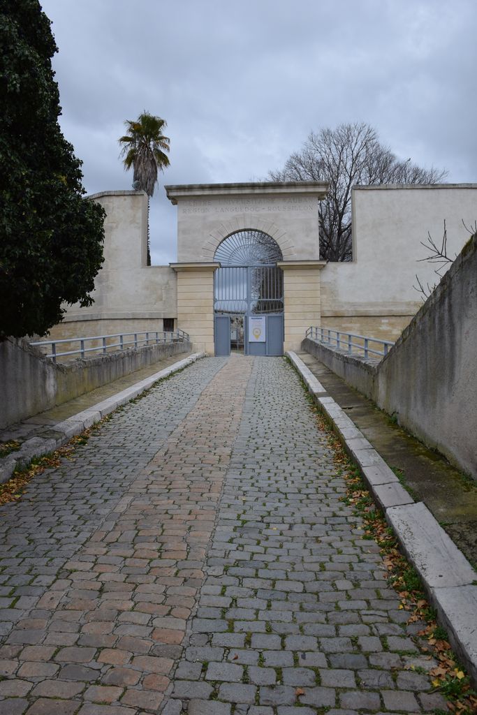 Rampe d'accès à la citadelle, rue du Dr Georges Salan.