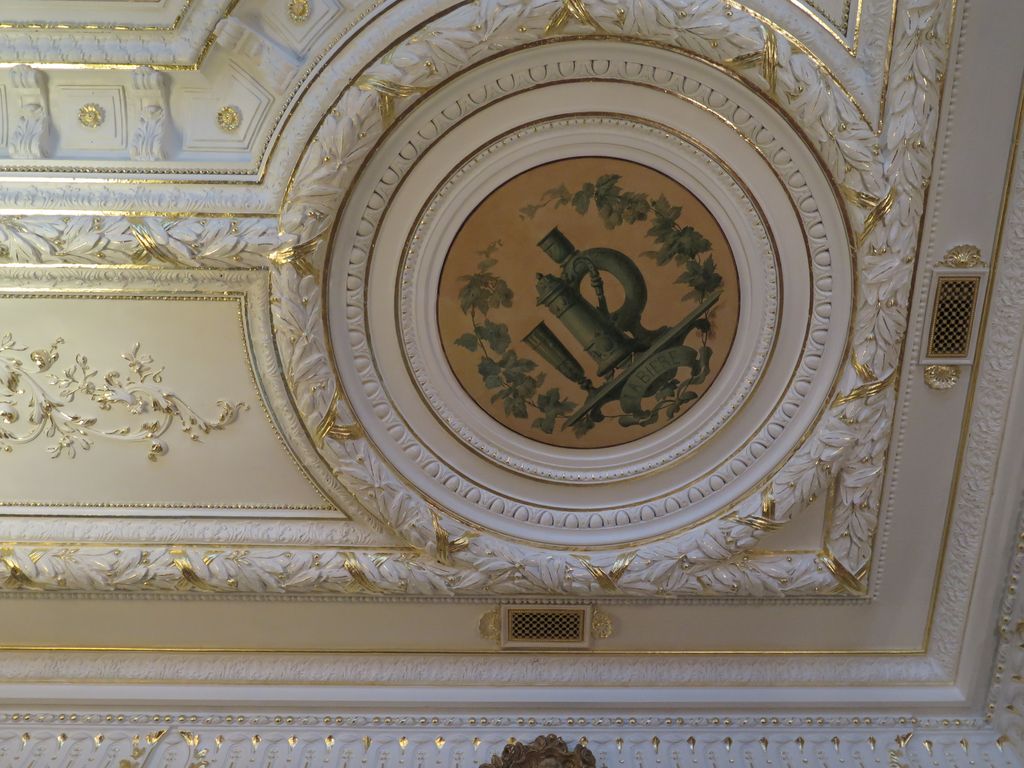 Médaillon, plafond de la grande salle. 