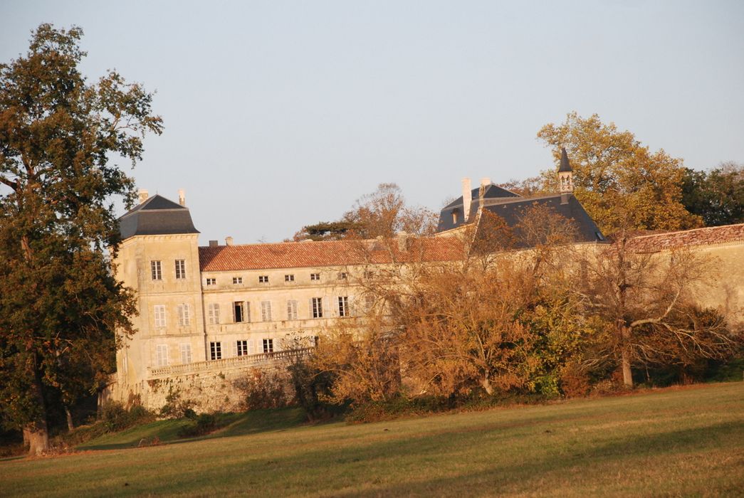 vue partielle du château dans son environnement depuis le Sud-Ouest