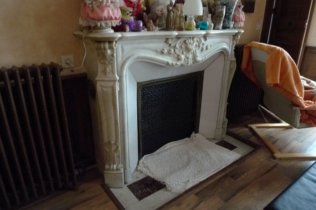 Cheminée en marbre blanc de Léopold Carlier dans le cabinet d'angle