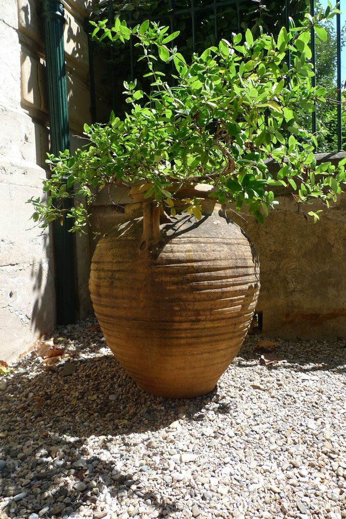 Vase d’Anduze, Boisset, signature.