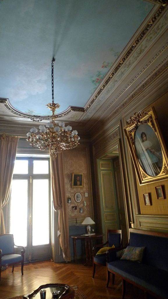 Plafond du petit salon.