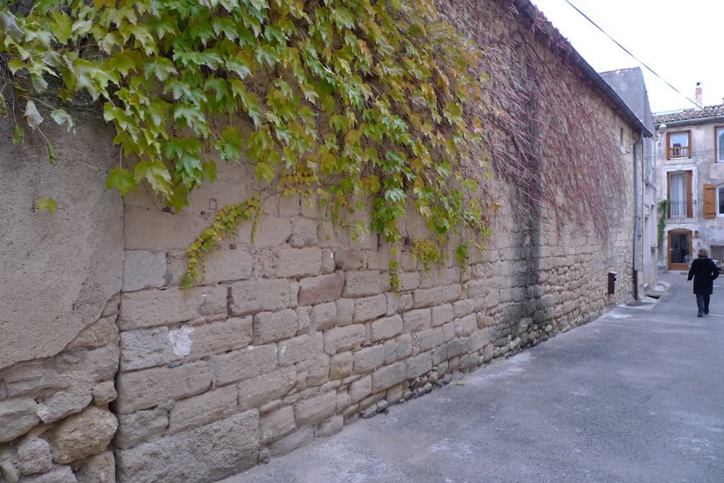 Mur ouest de l'enclos du château.