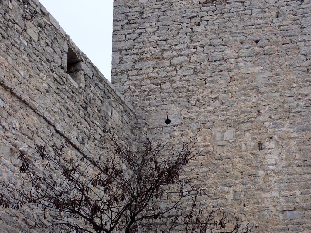 Archère-canonnière percée dans la façade.