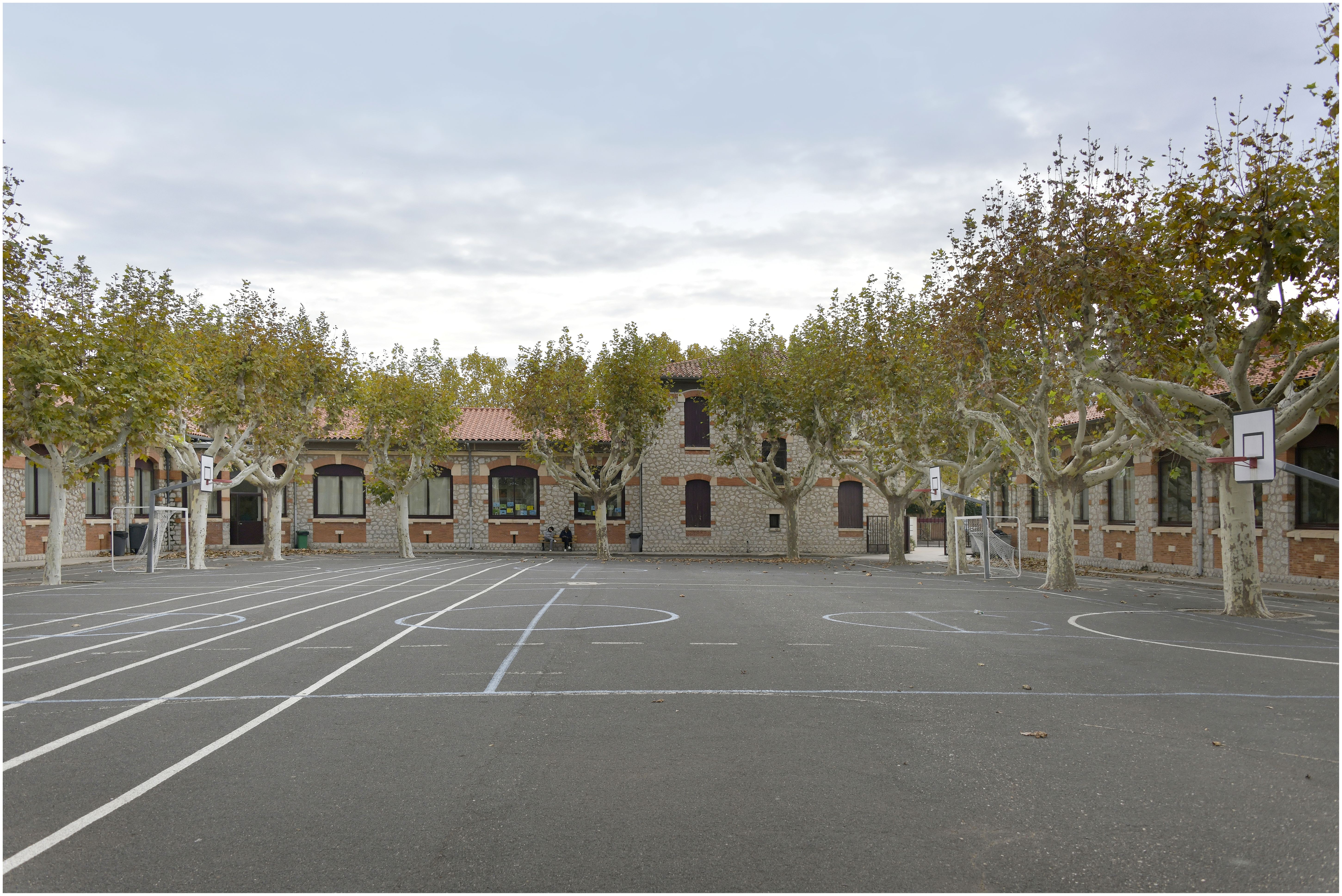 Cour