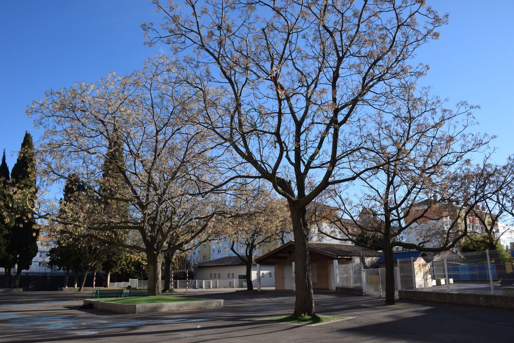 Ecole élémentaire Jean-Moulin. Cour de récréation.